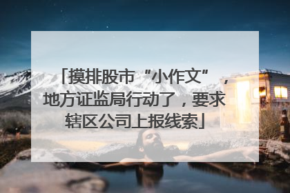 摸排股市“小作文”，地方证监局行动了，要求辖区公司上报线索